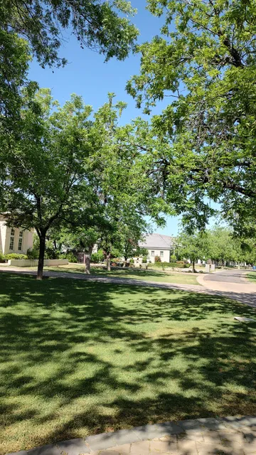 The Pecans of Queen Creek