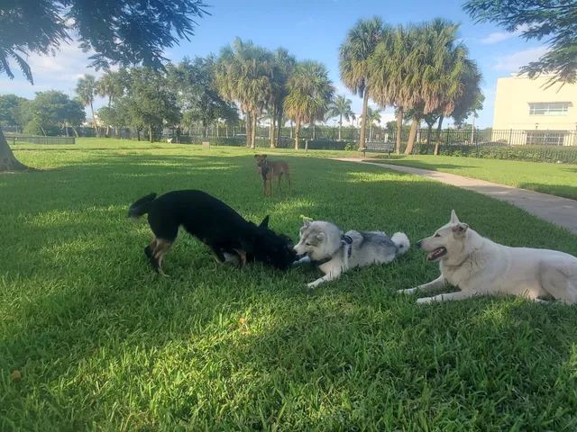 Pompano Beach Dog Park