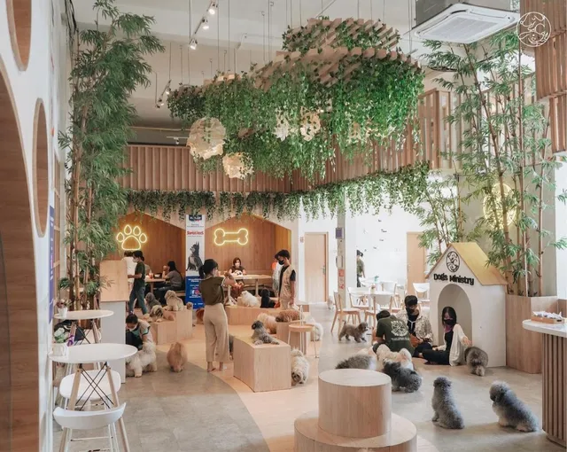 Dogs Ministry | Dog Cafe • Grooming • SPA • Dog Park • Pet Shop • Dog Pool • Dog Hotel & Day Care |