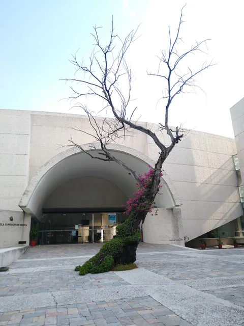 Escuela Superior de Música (Campus CENART)