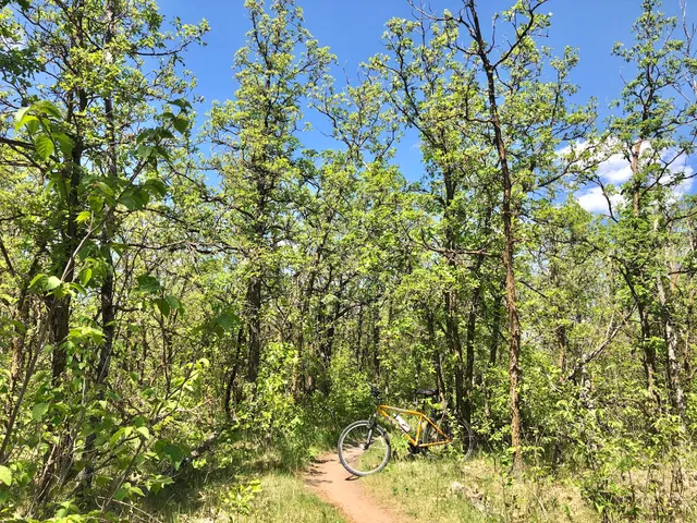 Bur Oak Self-Guiding Trail