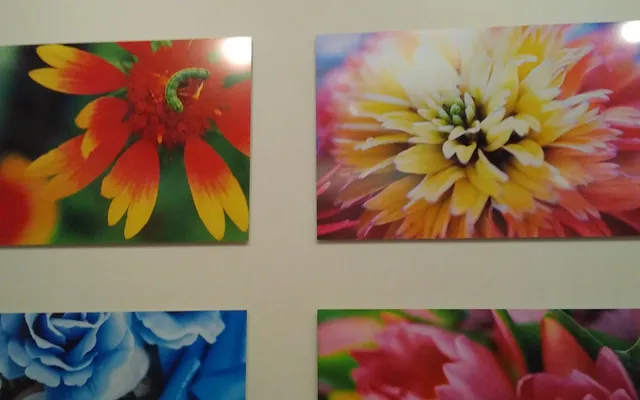 熊本市現代美術館 ミュージアムショップ