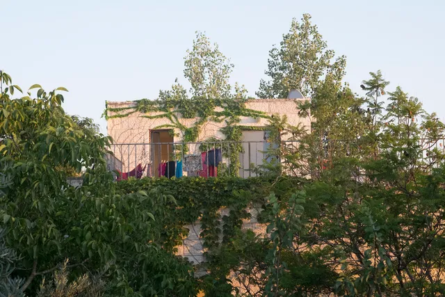 Sweet Home in Jerusalem Mountains