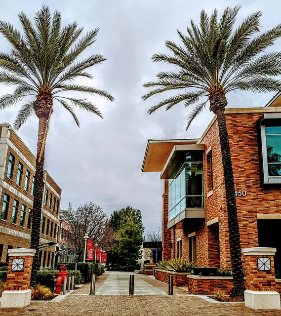 Chapman University Dodge College