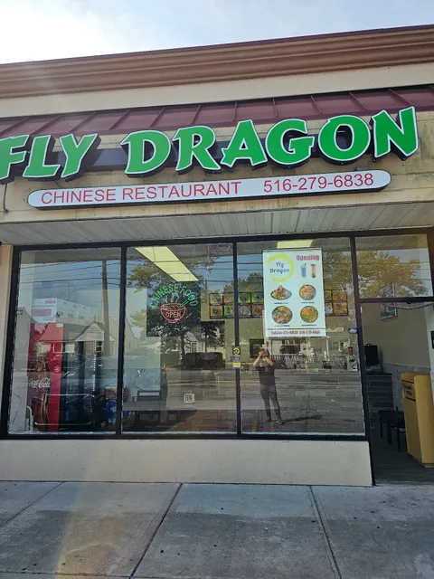 Fly Dragon