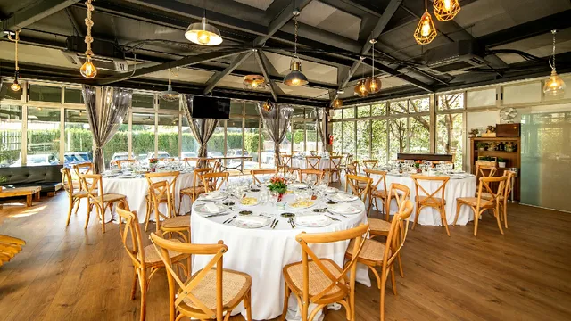 EL BISTURI by Qlinaria