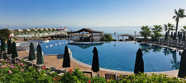 Gypsophila Club Marine