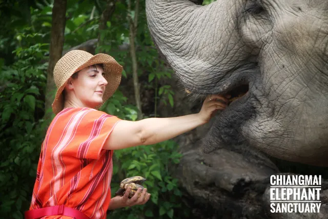 Chiang Mai Elephant Sanctuary