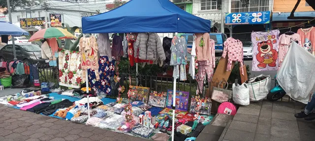 mercado-tianguis Eje 10