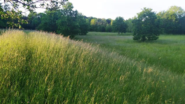 TSV Forstenried Munich e.V.