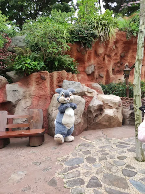 Rackety's Raccoon Saloon