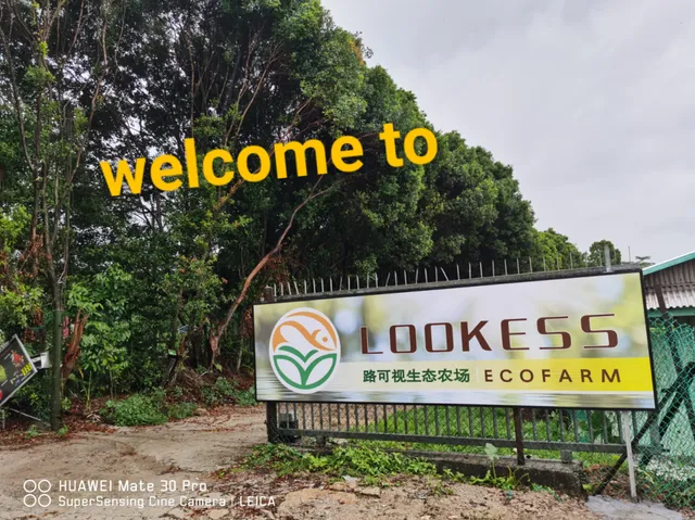 Lookess & Ecofarm private limited