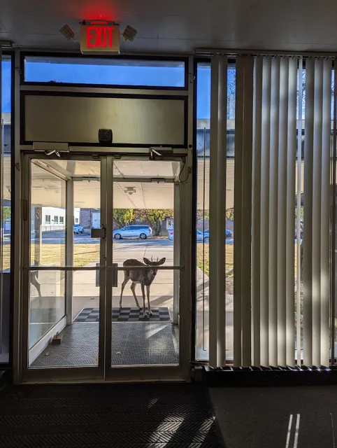 Noble Packaging Inc.