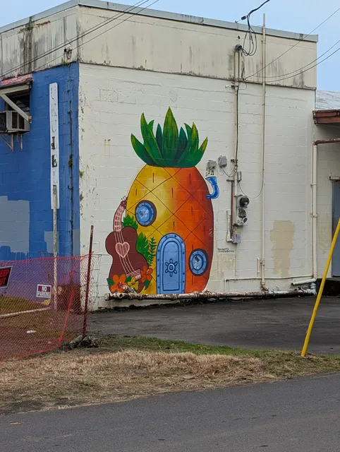 Agasa Furniture & Music Store