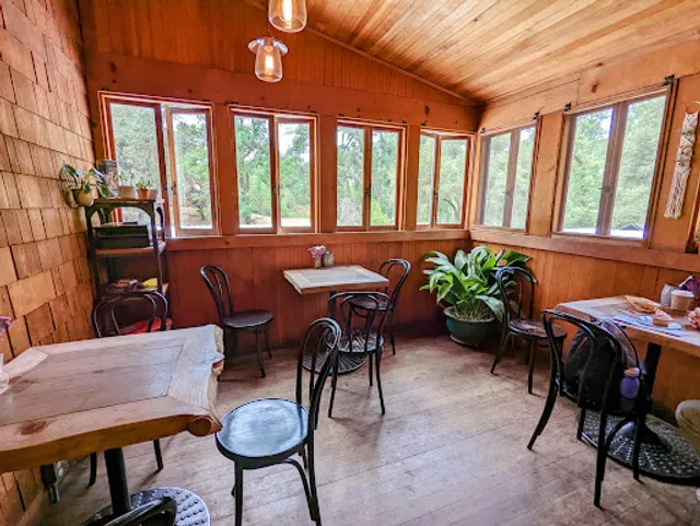 Argonaut: Coffee + Provisions