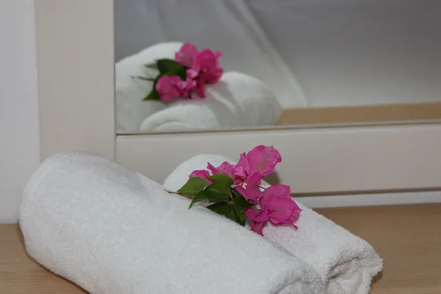 Casa Adélia Apartments