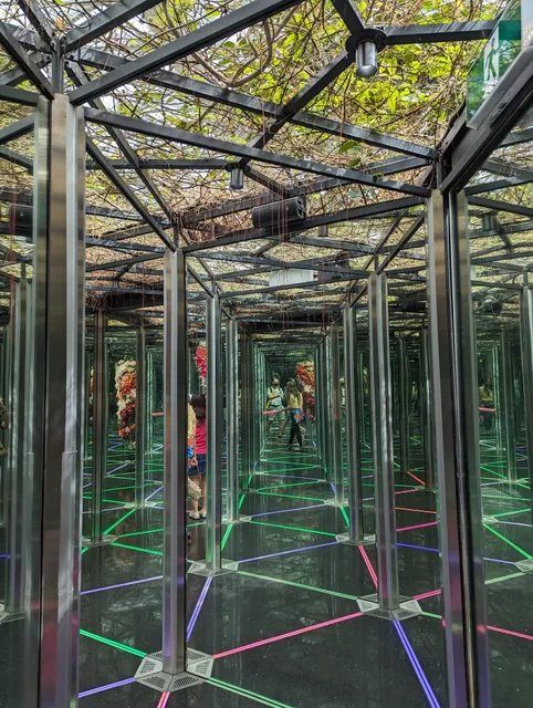 Mirror Maze