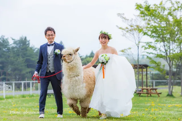 PHONCS design&photo studio