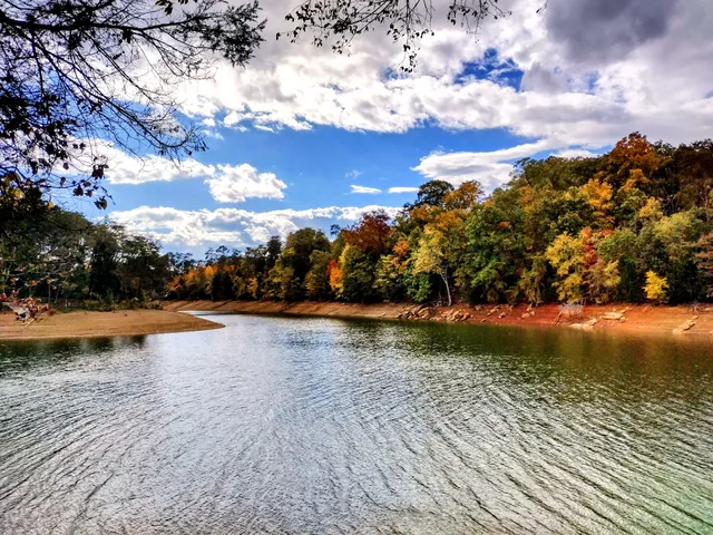 TVA Noeton Resource Management Area (Circle Park)