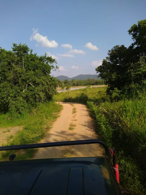 Habarana Elephant Safari