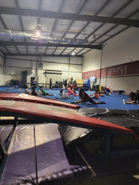 Flip City South Tumblers