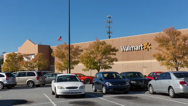 Stone Mountain Festival