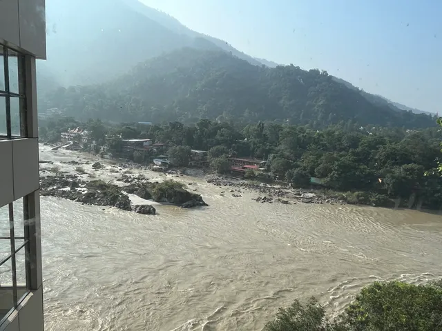 Citrus Café by Lemon Tree