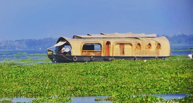 Back waters at Kumarakom
