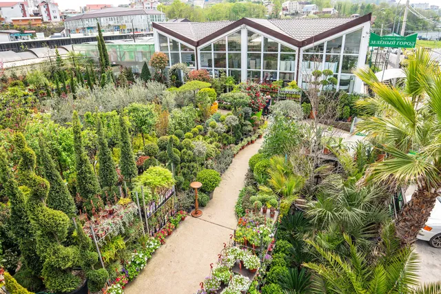 Садовый центр "Зеленый Город" (Адлер)