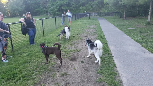 North Adams Dog Park