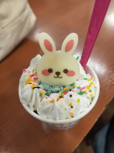 Baskin Robbins
