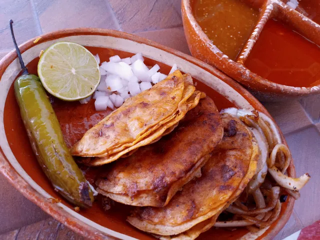 Tacos el chato birria de res