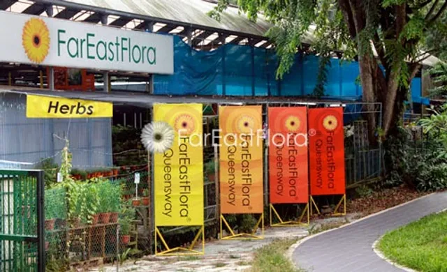 Far East Flora @ Queensway