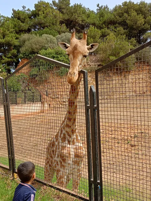 Zoo Ben Aknoun - Animaux sauvages