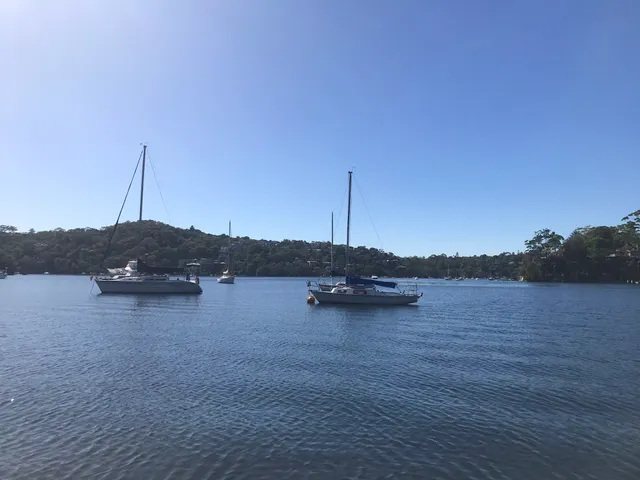 North Arm Walking Track