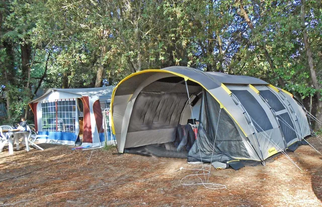 Camping Pinewoods of Caillauderie