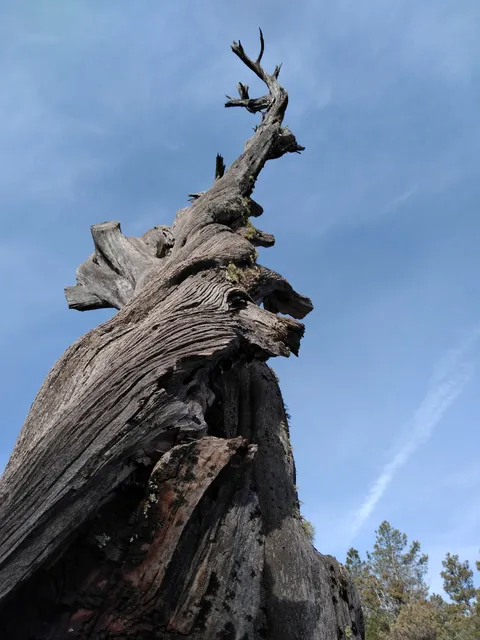 Christopher Creek Campground