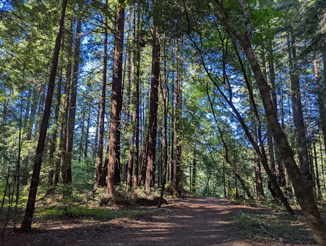 Santa Cruz Rincon Trail Trailhead