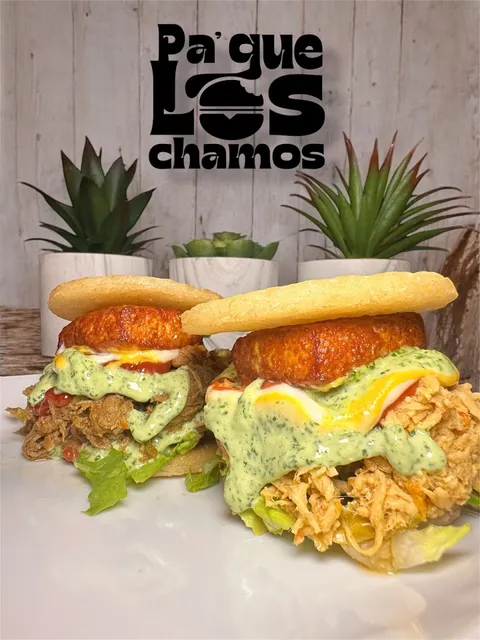 Pa que los chamos llc