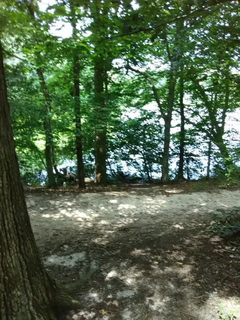 Killens Pond State Park Nature Center