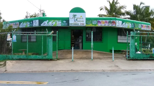 The Green Store
