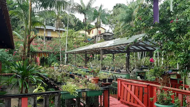 Restaurante Flora - Matapi Macapá