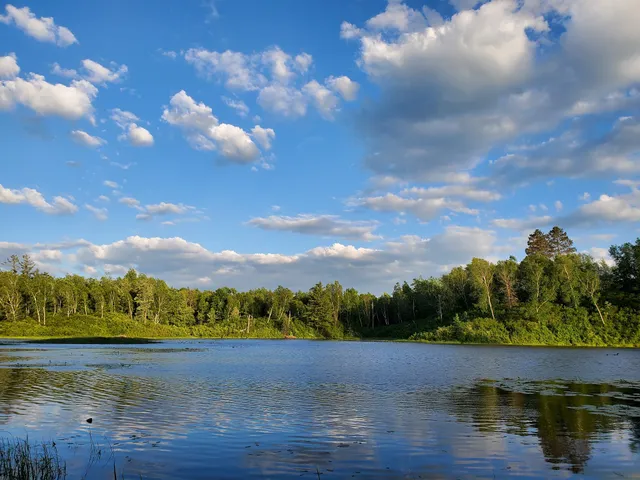 Paul Bunyan State Forest
