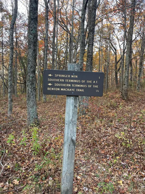 Springer Mountain Trailhead