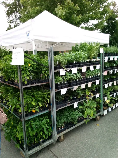 Acworth Farmers Market