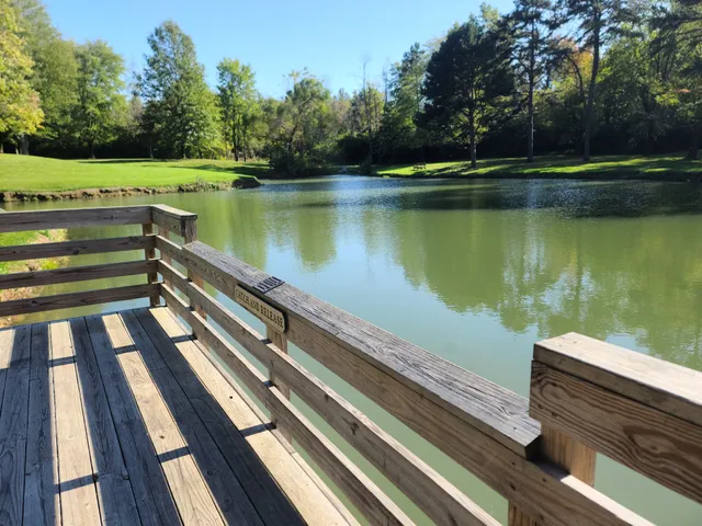 Pattison Park Lakeside