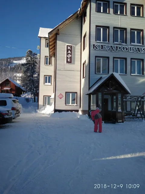 Hotel Kedrovaya
