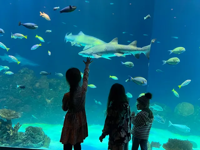 Sobela Ocean Aquarium