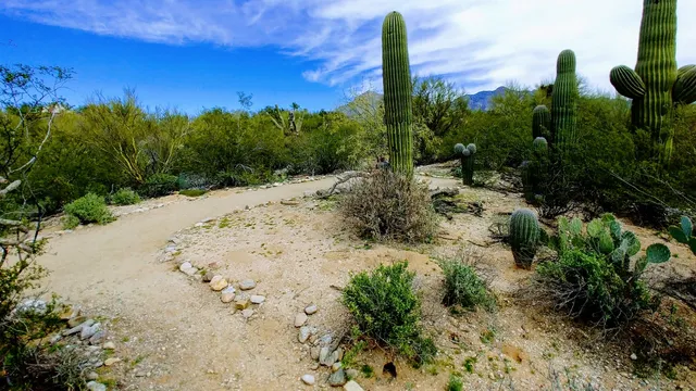 Tohono Chul-Desert Discovery Education Center