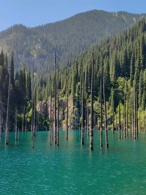 Mercato del Sabato - Matera